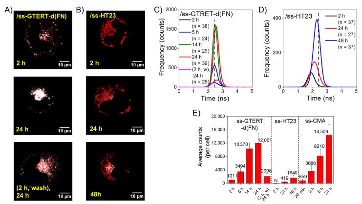 https://cdn.ncbi.nlm.nih.gov/pmc/blobs/e12d/9779097/08f864b770d0/ijms-23-15799-g004.jpg