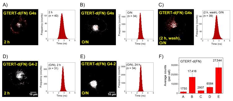 https://cdn.ncbi.nlm.nih.gov/pmc/blobs/e12d/9779097/1e7155883306/ijms-23-15799-g002.jpg