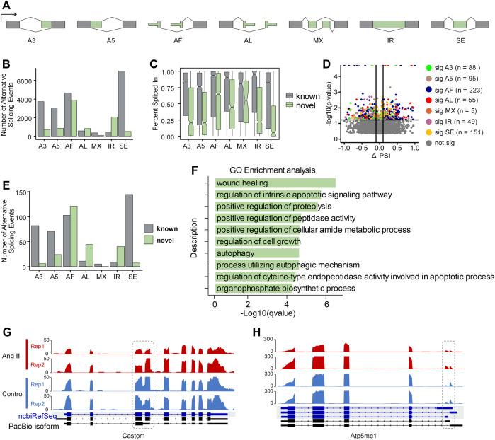 https://cdn.ncbi.nlm.nih.gov/pmc/blobs/e12e/9892061/0686cc87c9c1/fgene-14-1064624-g004.jpg