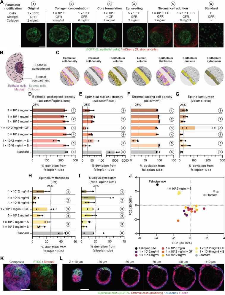 https://cdn.ncbi.nlm.nih.gov/pmc/blobs/e131/11430475/2ed2144755f1/sciadv.adp6285-f6.jpg