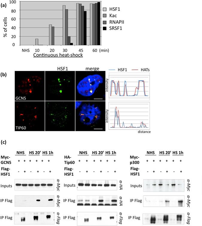 https://cdn.ncbi.nlm.nih.gov/pmc/blobs/e131/5511177/11cefb8f64c8/41598_2017_5343_Fig3_HTML.jpg