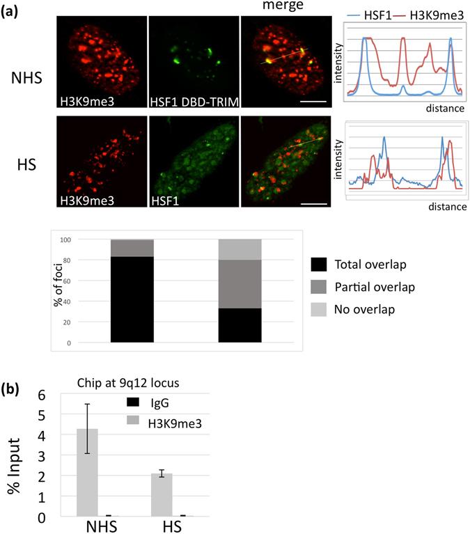 https://cdn.ncbi.nlm.nih.gov/pmc/blobs/e131/5511177/60ab7c7ba13d/41598_2017_5343_Fig2_HTML.jpg