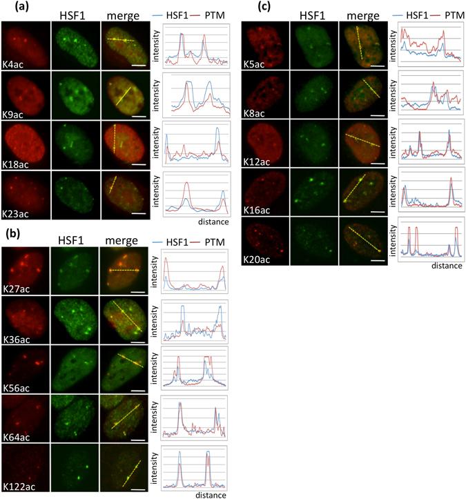 https://cdn.ncbi.nlm.nih.gov/pmc/blobs/e131/5511177/8845003771d9/41598_2017_5343_Fig1_HTML.jpg