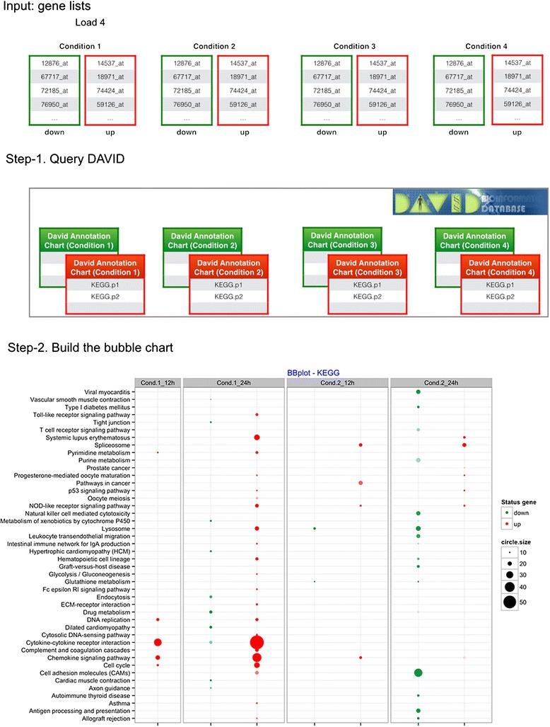 https://cdn.ncbi.nlm.nih.gov/pmc/blobs/e132/4377007/dacb441e8c34/12859_2015_477_Fig1_HTML.jpg