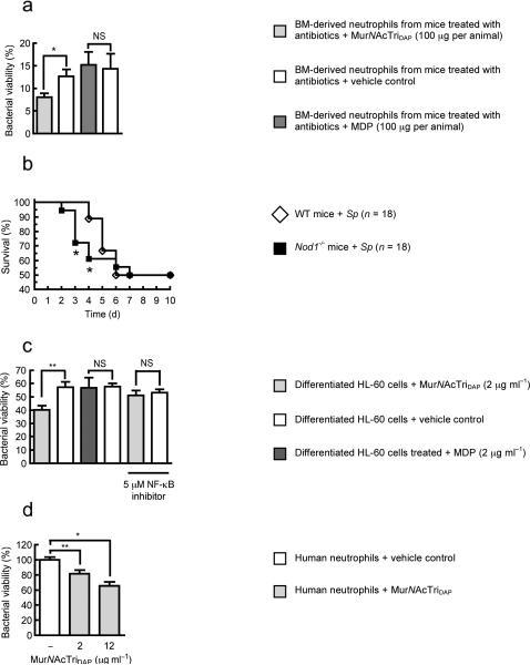 https://cdn.ncbi.nlm.nih.gov/pmc/blobs/e132/4497535/28cedf1e2136/nihms-165720-f0003.jpg
