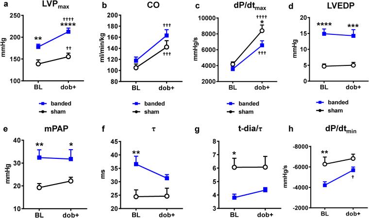 https://cdn.ncbi.nlm.nih.gov/pmc/blobs/e135/5707379/06572a421a98/41598_2017_15851_Fig2_HTML.jpg