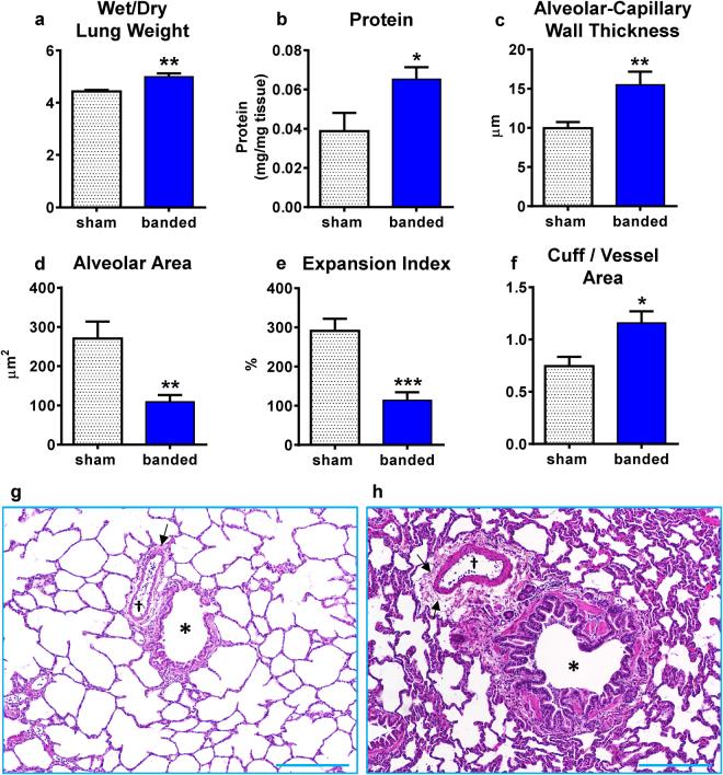 https://cdn.ncbi.nlm.nih.gov/pmc/blobs/e135/5707379/349773dd7415/41598_2017_15851_Fig6_HTML.jpg