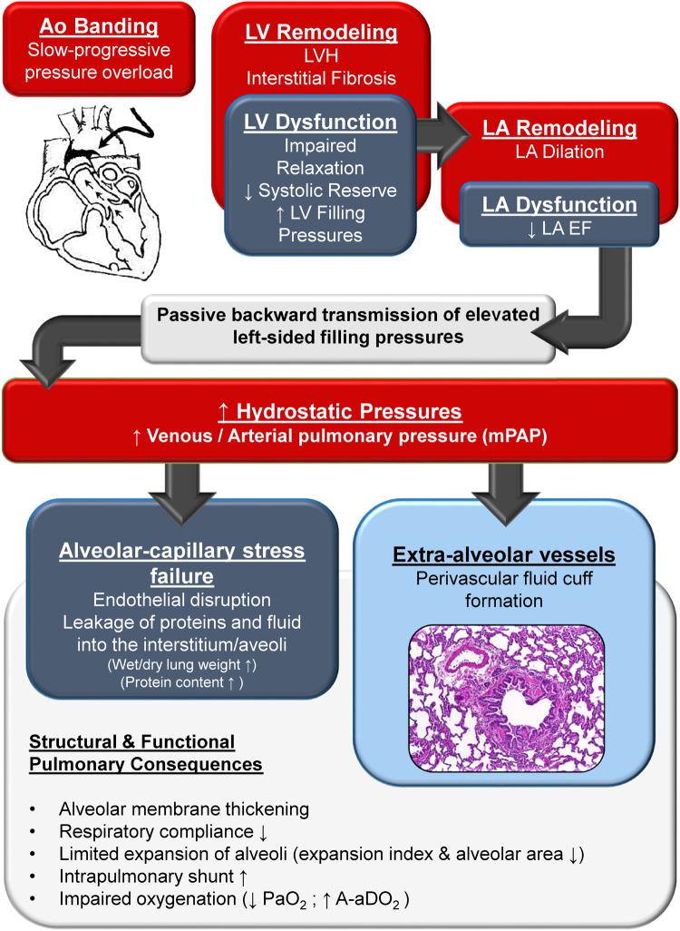 https://cdn.ncbi.nlm.nih.gov/pmc/blobs/e135/5707379/9eaf5526e1a5/41598_2017_15851_Fig7_HTML.jpg