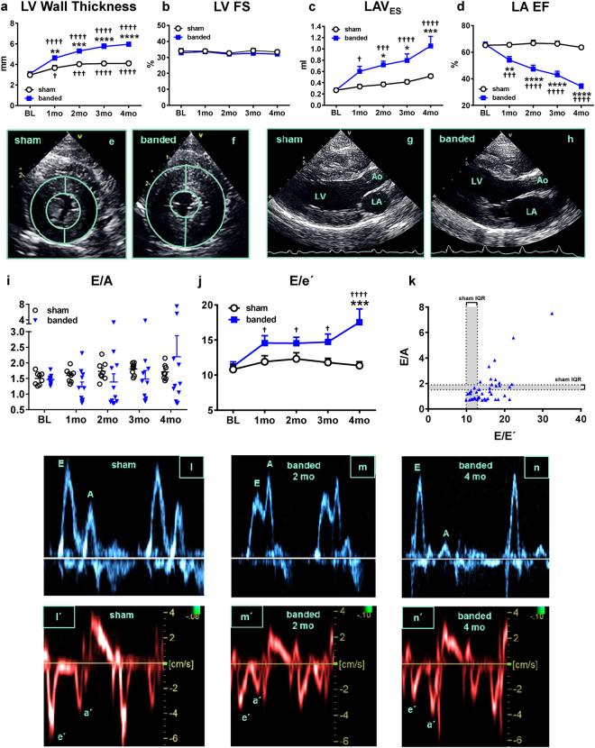 https://cdn.ncbi.nlm.nih.gov/pmc/blobs/e135/5707379/f01446ca25dc/41598_2017_15851_Fig1_HTML.jpg