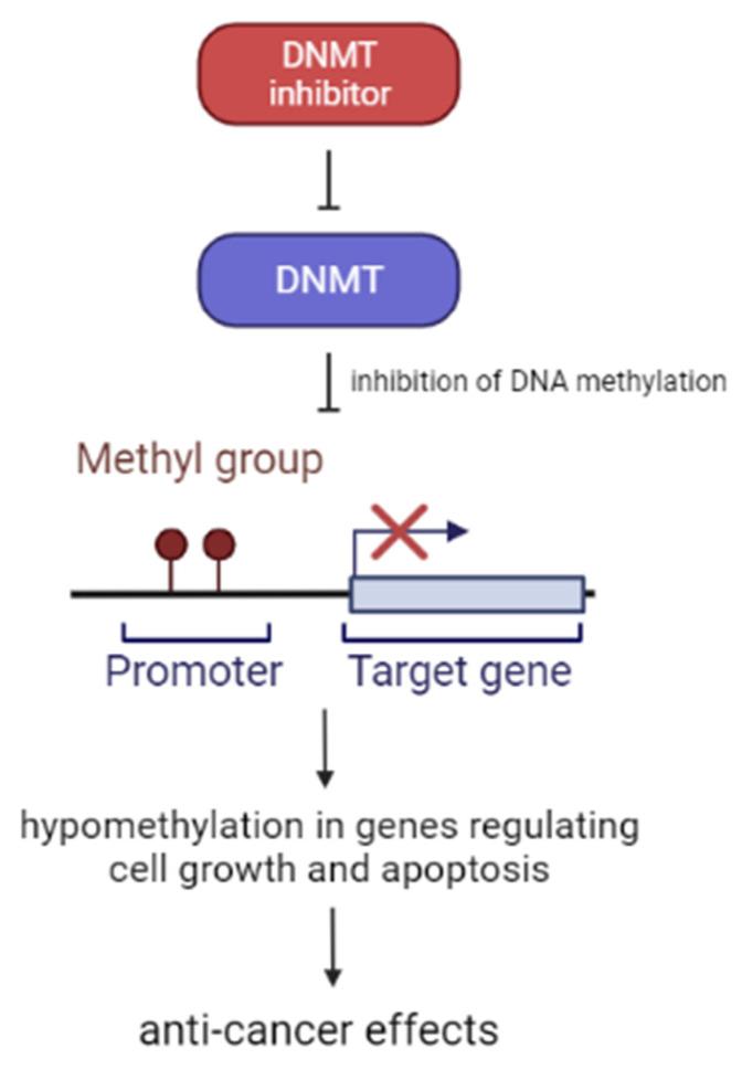 https://cdn.ncbi.nlm.nih.gov/pmc/blobs/e135/8945992/8b645ec3e78d/cancers-14-01569-g002.jpg