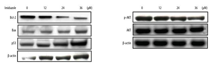 https://cdn.ncbi.nlm.nih.gov/pmc/blobs/e136/6798726/4efd8c32bbb5/medscimonit-25-7597-g006.jpg