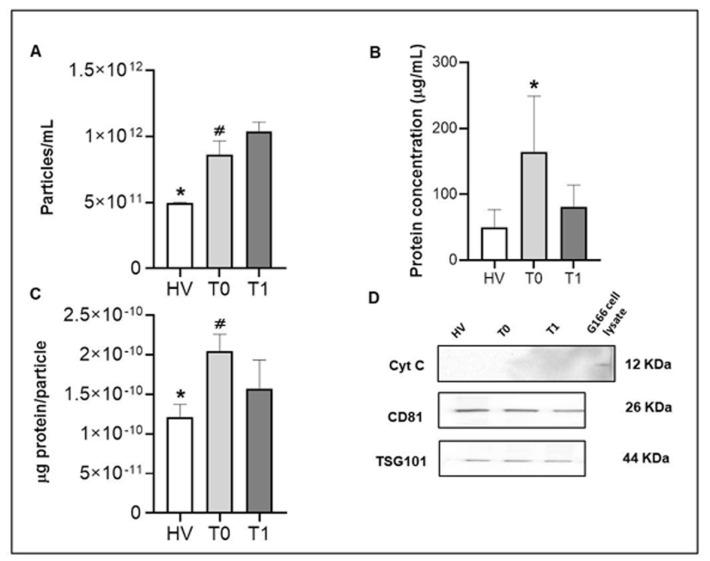 https://cdn.ncbi.nlm.nih.gov/pmc/blobs/e137/10969952/43db78ad289c/ijms-25-03415-g002.jpg