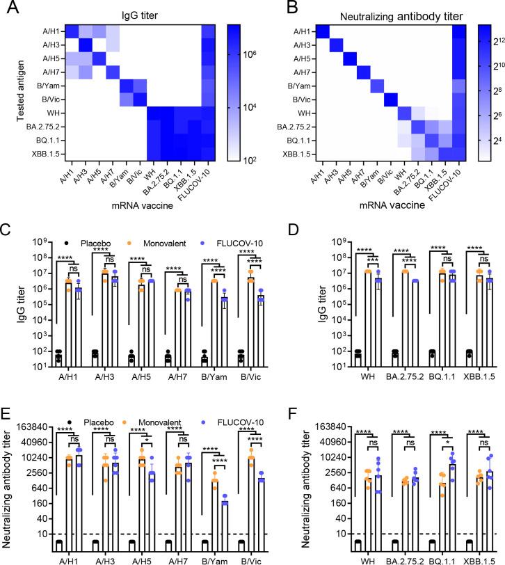 https://cdn.ncbi.nlm.nih.gov/pmc/blobs/e137/11389412/221a187851a2/mbio.00668-24.f002.jpg