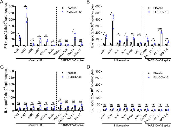 https://cdn.ncbi.nlm.nih.gov/pmc/blobs/e137/11389412/c16c4b36e849/mbio.00668-24.f003.jpg