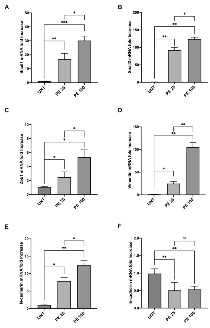 https://cdn.ncbi.nlm.nih.gov/pmc/blobs/e13a/11432389/09d746fbafec/ijms-25-10168-g004.jpg