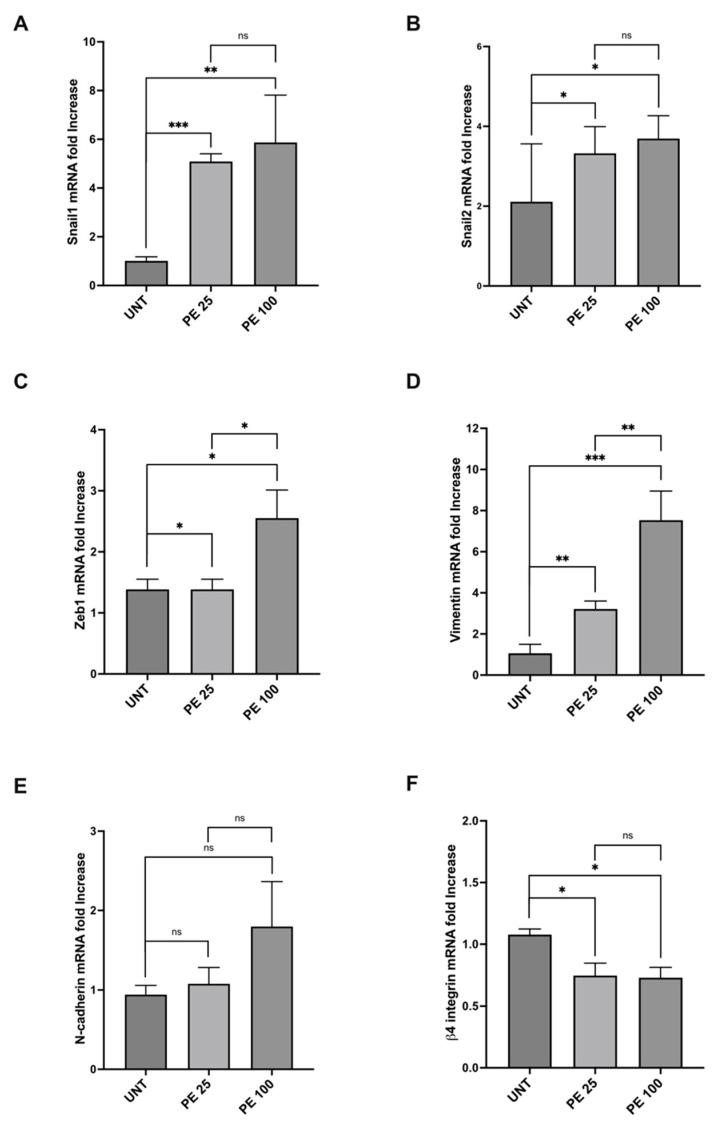 https://cdn.ncbi.nlm.nih.gov/pmc/blobs/e13a/11432389/aea832301928/ijms-25-10168-g003.jpg