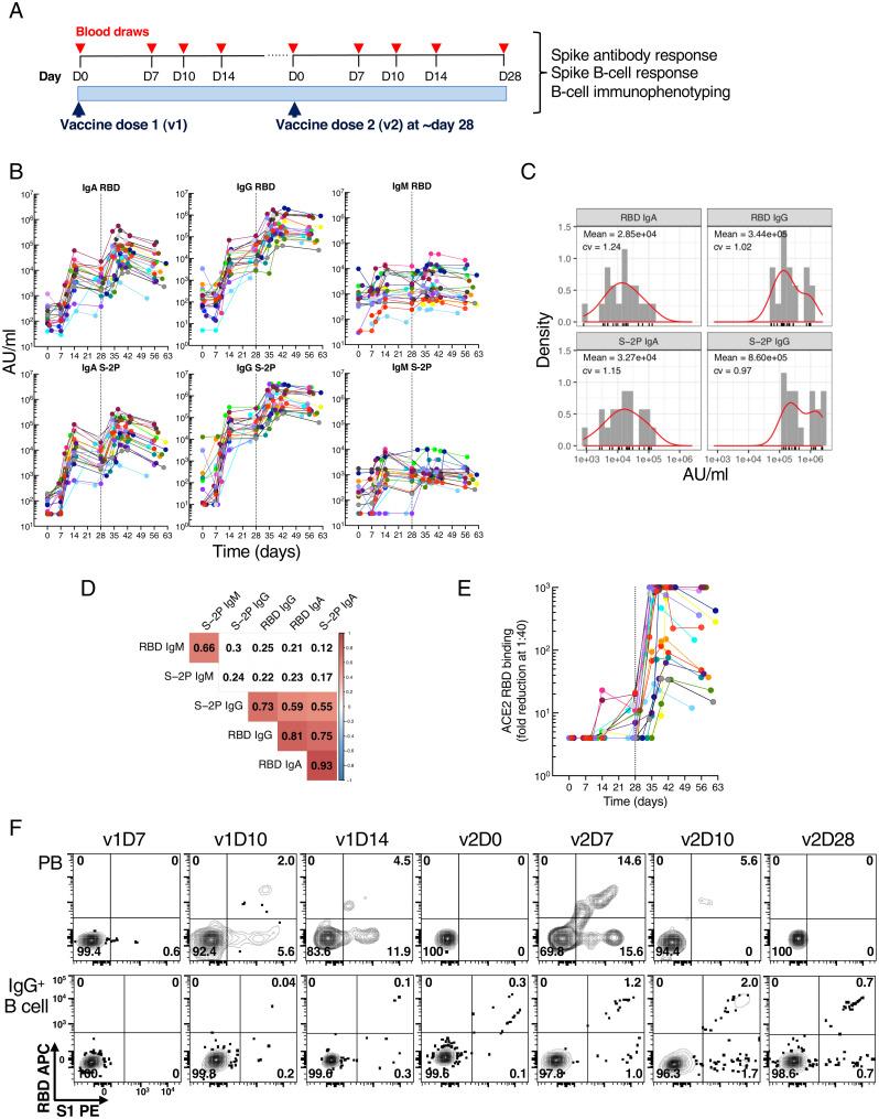 https://cdn.ncbi.nlm.nih.gov/pmc/blobs/e13a/9282446/ad8e8a2e2219/pnas.2204607119fig01.jpg