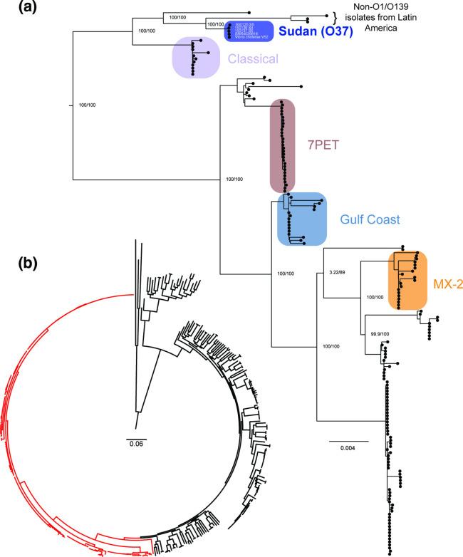 https://cdn.ncbi.nlm.nih.gov/pmc/blobs/e13c/10210954/a70ba9f32ee2/mgen-9-980-g001.jpg