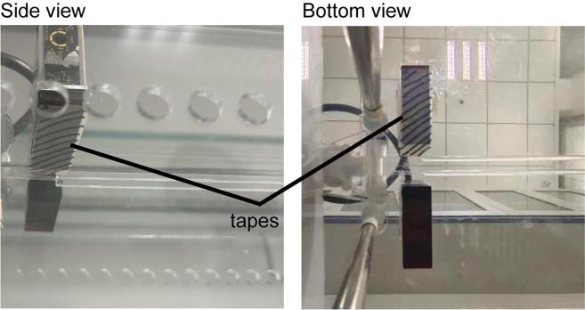 https://cdn.ncbi.nlm.nih.gov/pmc/blobs/e13d/11047788/e59e0ad807f7/gr3.jpg