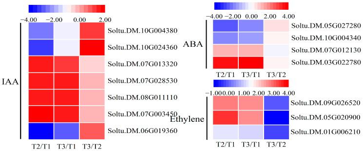 https://cdn.ncbi.nlm.nih.gov/pmc/blobs/e13d/11172952/76997d41e3dc/ijms-25-05994-g006.jpg