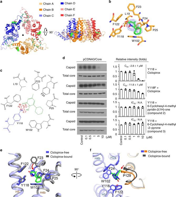https://cdn.ncbi.nlm.nih.gov/pmc/blobs/e141/6522524/16cab2f44532/41467_2019_10200_Fig3_HTML.jpg
