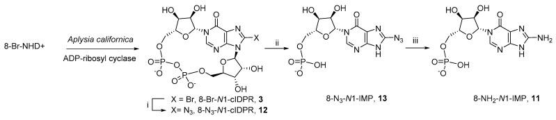 https://cdn.ncbi.nlm.nih.gov/pmc/blobs/e141/8658804/1c825ef943db/molecules-26-07165-sch001.jpg