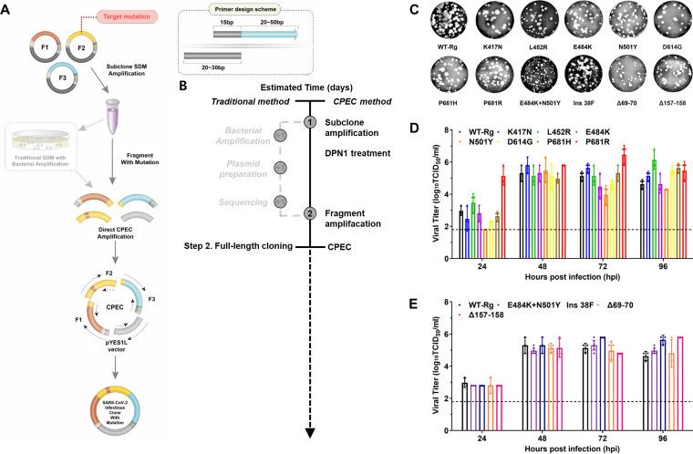 https://cdn.ncbi.nlm.nih.gov/pmc/blobs/e144/10100849/5c921d6e0b84/spectrum.03385-22-f002.jpg
