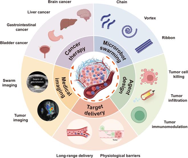 https://cdn.ncbi.nlm.nih.gov/pmc/blobs/e146/12038165/127769a0c91c/research.0686.fig.001.jpg