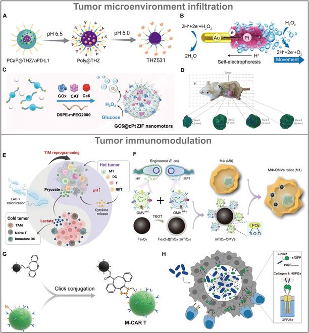 https://cdn.ncbi.nlm.nih.gov/pmc/blobs/e146/12038165/6180a0fce957/research.0686.fig.004.jpg