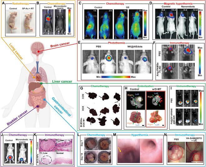 https://cdn.ncbi.nlm.nih.gov/pmc/blobs/e146/12038165/8dd609fc3ddf/research.0686.fig.008.jpg