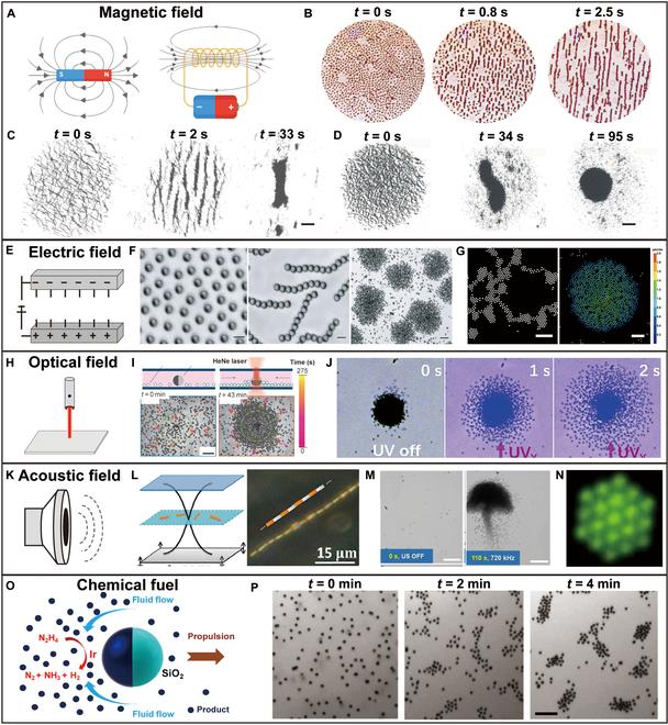 https://cdn.ncbi.nlm.nih.gov/pmc/blobs/e146/12038165/a76781d3ef82/research.0686.fig.002.jpg