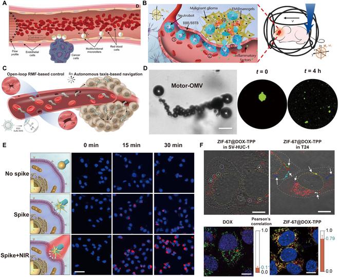 https://cdn.ncbi.nlm.nih.gov/pmc/blobs/e146/12038165/f378a219caac/research.0686.fig.006.jpg