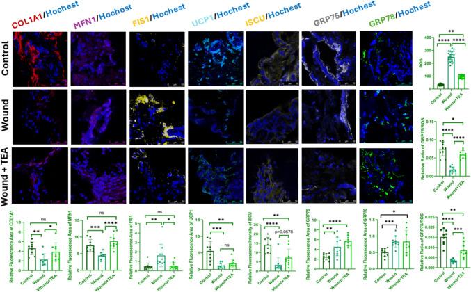 https://cdn.ncbi.nlm.nih.gov/pmc/blobs/e147/11807081/43f5aed5b115/403_2024_3754_Fig4_HTML.jpg