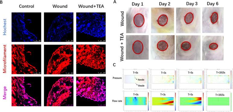 https://cdn.ncbi.nlm.nih.gov/pmc/blobs/e147/11807081/d86028c7cd54/403_2024_3754_Fig2_HTML.jpg