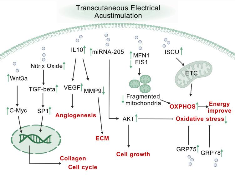https://cdn.ncbi.nlm.nih.gov/pmc/blobs/e147/11807081/dbe420efab23/403_2024_3754_Fig5_HTML.jpg