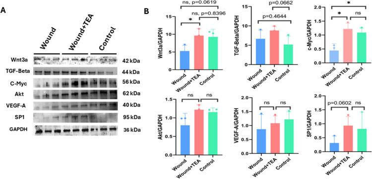https://cdn.ncbi.nlm.nih.gov/pmc/blobs/e147/11807081/f6c71278f22a/403_2024_3754_Fig3_HTML.jpg