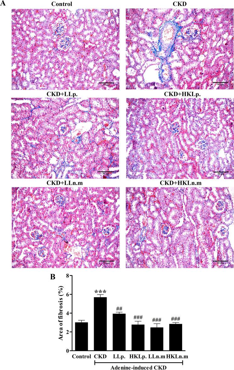 https://cdn.ncbi.nlm.nih.gov/pmc/blobs/e147/12005673/cdc784515ff8/pone.0318827.g007.jpg