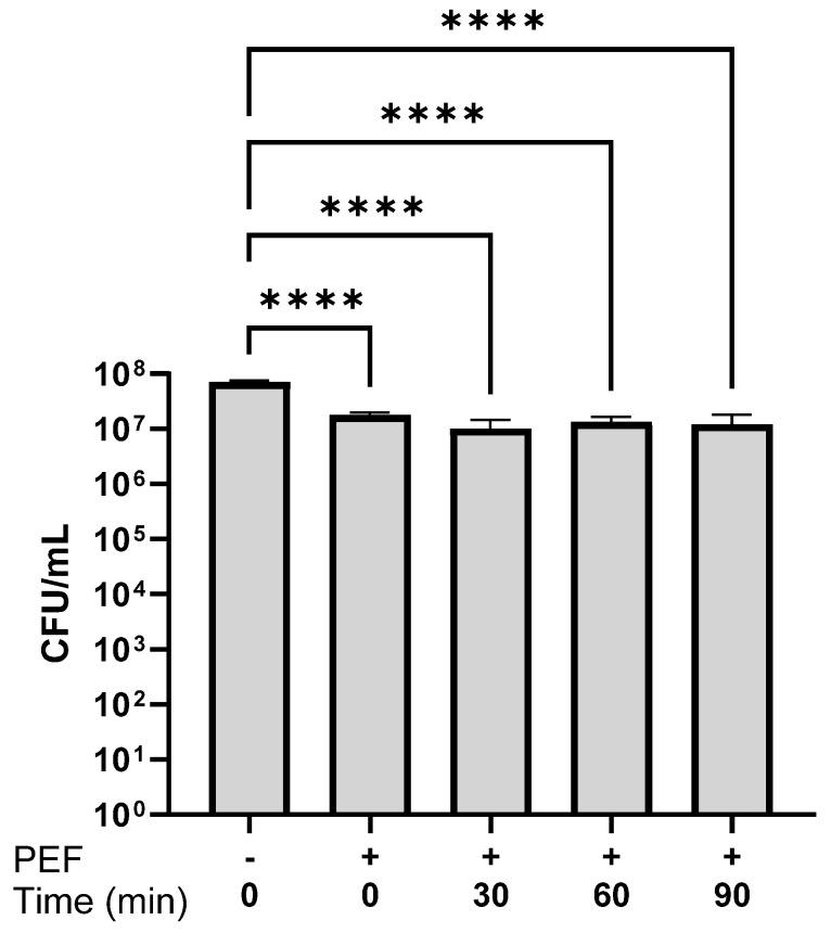https://cdn.ncbi.nlm.nih.gov/pmc/blobs/e149/12388641/93a70894ebfd/microorganisms-13-01925-g005.jpg