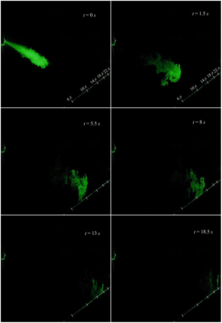 https://cdn.ncbi.nlm.nih.gov/pmc/blobs/e149/7684680/1c10cd9375ba/PHFLE6-000032-115129_1-g005.jpg