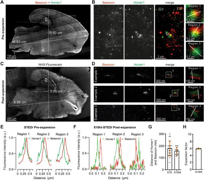 https://cdn.ncbi.nlm.nih.gov/pmc/blobs/e14c/10067834/61fbb3fc3783/41598_2023_32524_Fig3_HTML.jpg