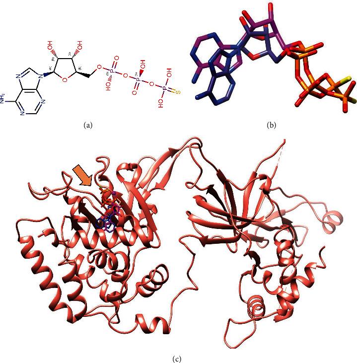 https://cdn.ncbi.nlm.nih.gov/pmc/blobs/e151/9499818/82b93c4a051e/ABB2022-8308192.002.jpg