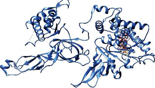 https://cdn.ncbi.nlm.nih.gov/pmc/blobs/e151/9499818/cbca5761eb43/ABB2022-8308192.001.jpg