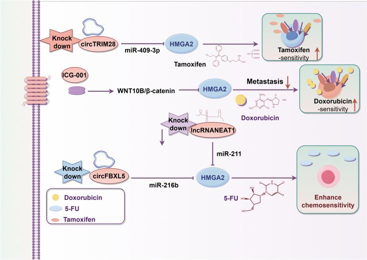 https://cdn.ncbi.nlm.nih.gov/pmc/blobs/e153/11098884/42bfbff87614/432_2024_5785_Fig3_HTML.jpg