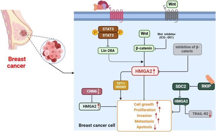 https://cdn.ncbi.nlm.nih.gov/pmc/blobs/e153/11098884/4dbaa1c174b5/432_2024_5785_Fig1_HTML.jpg