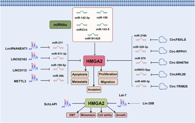 https://cdn.ncbi.nlm.nih.gov/pmc/blobs/e153/11098884/76a012a466be/432_2024_5785_Fig2_HTML.jpg