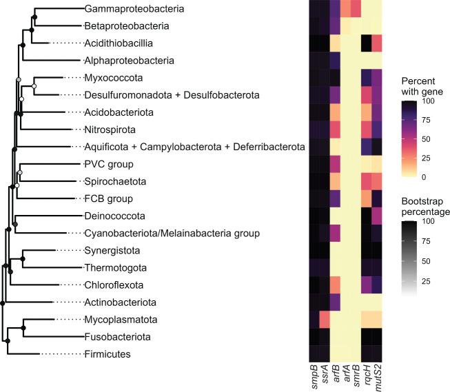 https://cdn.ncbi.nlm.nih.gov/pmc/blobs/e153/11633108/bc29d0a24791/mbio.02322-24.f001.jpg