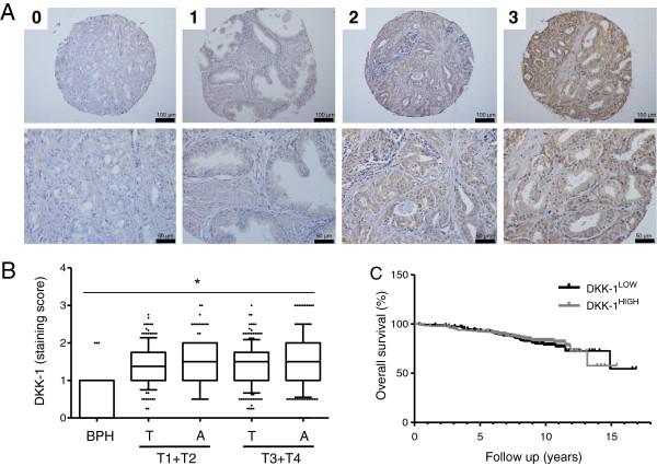 https://cdn.ncbi.nlm.nih.gov/pmc/blobs/e153/4167148/0ebb1410b297/12885_2014_4843_Fig1_HTML.jpg