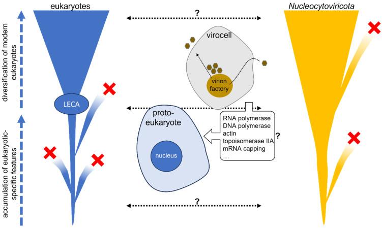 https://cdn.ncbi.nlm.nih.gov/pmc/blobs/e157/10458455/2ed12c81eb8e/viruses-15-01758-g001.jpg