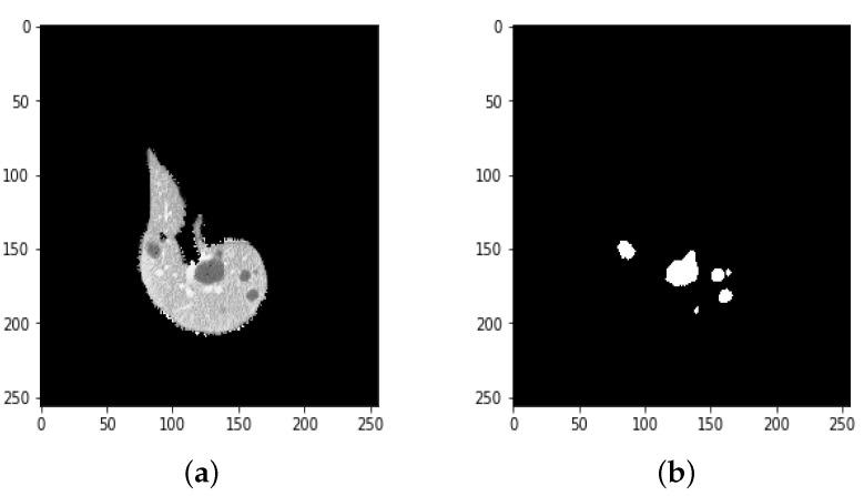 https://cdn.ncbi.nlm.nih.gov/pmc/blobs/e157/9404984/c3ff0f16da74/bioengineering-09-00368-g012.jpg