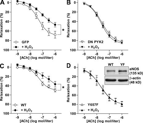 https://cdn.ncbi.nlm.nih.gov/pmc/blobs/e159/2806451/30f33879cc0e/JEM_20090449_GS_Fig5.jpg